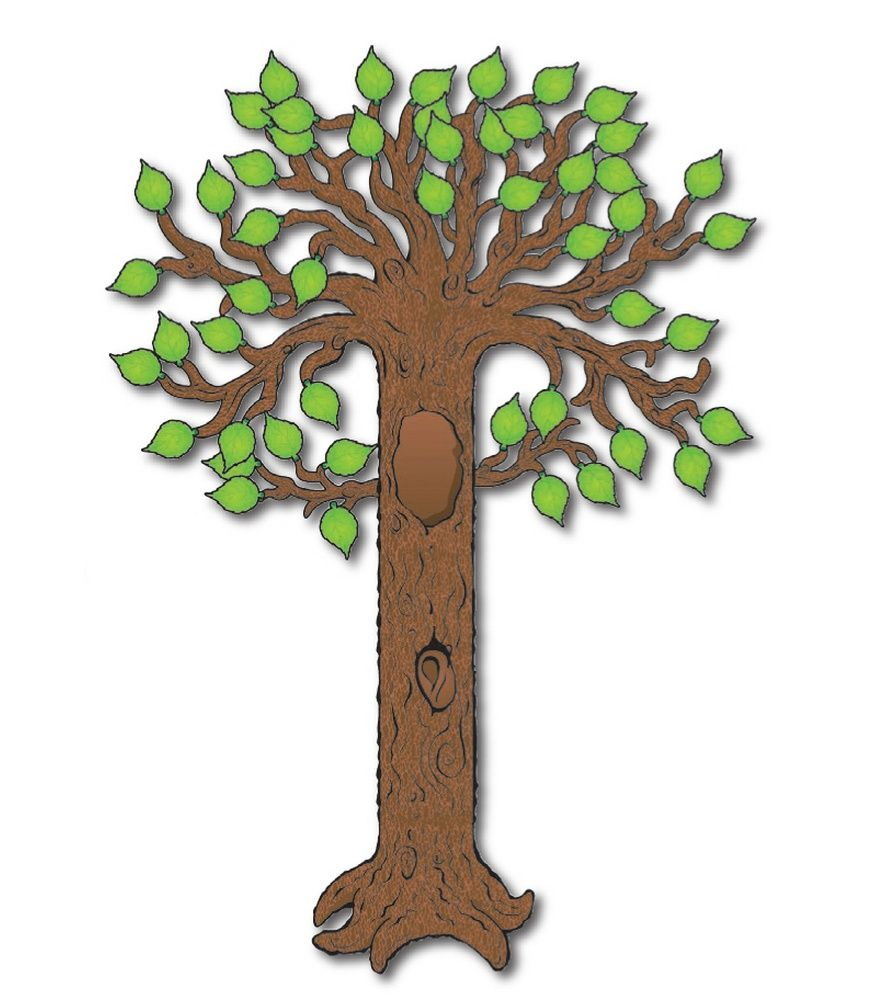  CDWishList Big Tree Bulletin Board Set Carson Dellosa Publishing 
