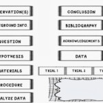 Mock Mini Science Fair Board To Teach The Scientific Method plus A